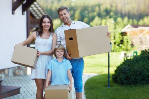 Brixton area and removals service illustration